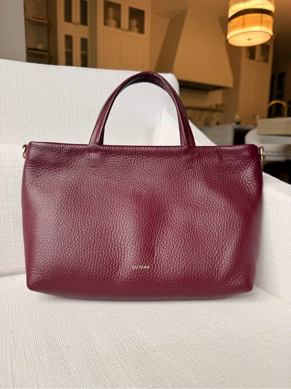 Cuyana Mini Easy Zipper Tote Bag in Cherry - Picture 1 of 6